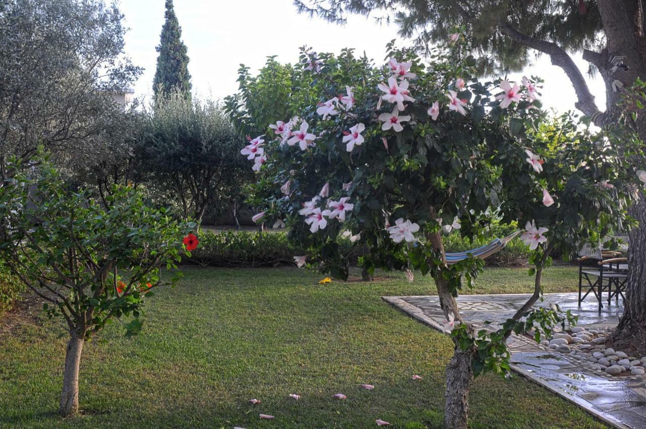 Messinian Blue Seaside Villa Каламата Екстер'єр фото